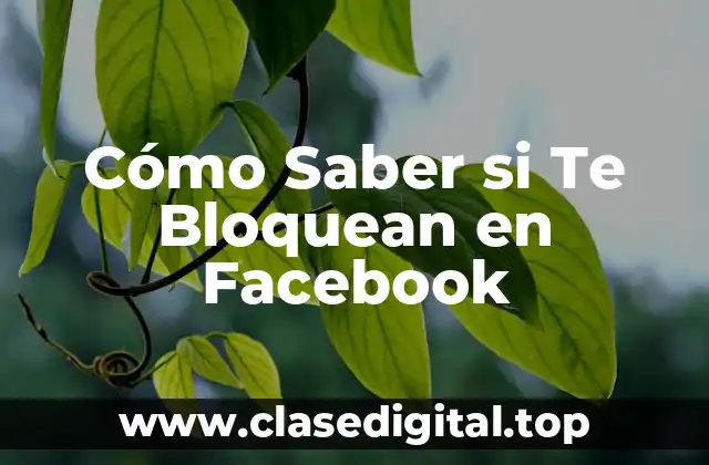 Cómo Saber si Te Bloquean en Facebook