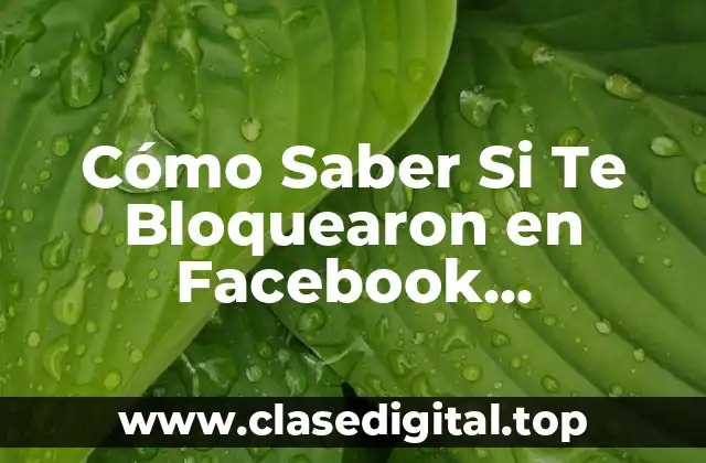 ¿Por Qué la Gente Bloquea a Otros en Facebook Messenger?