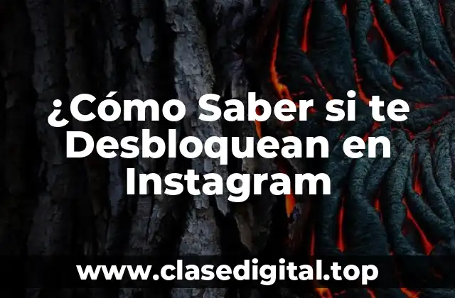 ¿Cómo Saber si te Desbloquean en Instagram