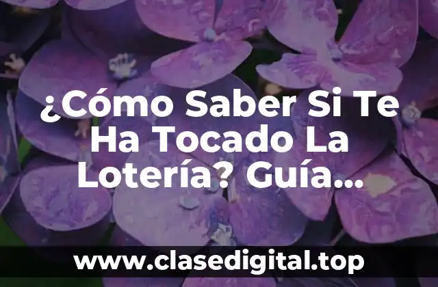 ¿Cómo Saber Si Te Ha Tocado La Lotería? Guía Completa y Actualizada