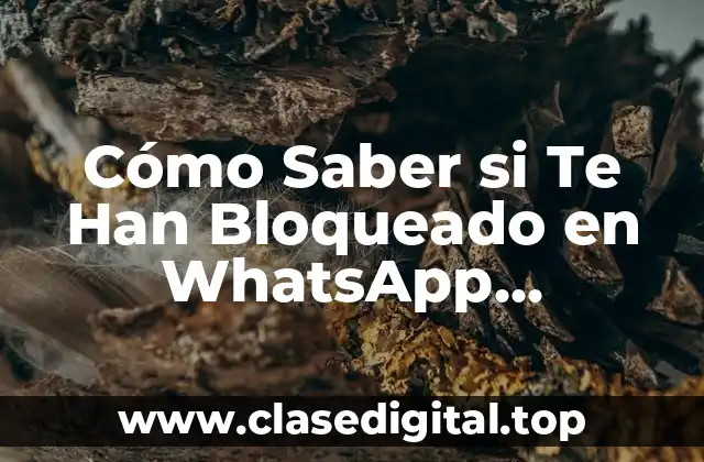 Cómo Saber si Te Han Bloqueado en WhatsApp Exactamente