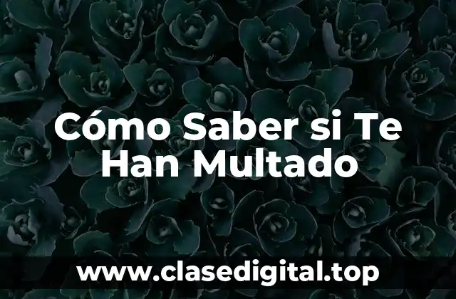Cómo Saber si Te Han Multado