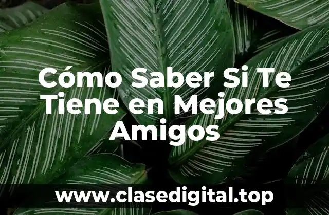 Cómo Saber Si Te Tiene en Mejores Amigos