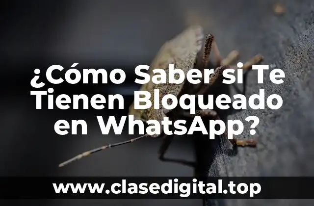 ¿Qué Sucede cuando Alguien te Bloquea en WhatsApp?