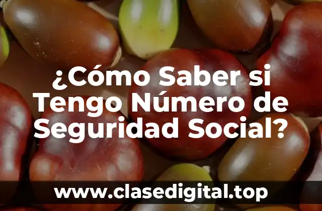 ¿Cómo Saber si Tengo Número de Seguridad Social?