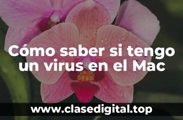 Cómo saber si tengo un virus en el Mac