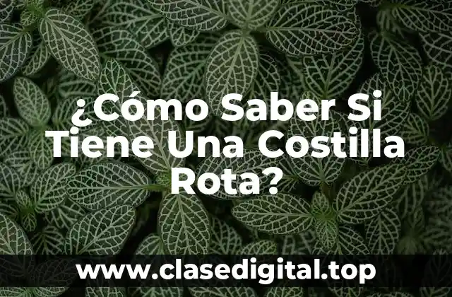 ¿Cómo Saber Si Tiene Una Costilla Rota?