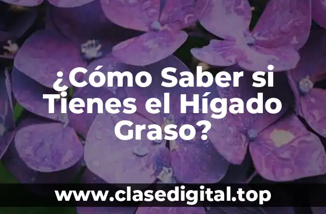 ¿Cómo Saber si Tienes el Hígado Graso?