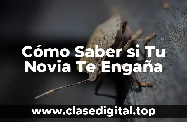 Cómo Saber si Tu Novia Te Engaña