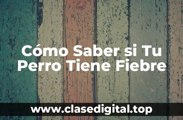 Cómo Saber si Tu Perro Tiene Fiebre