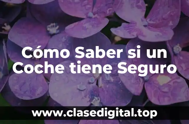 Cómo Saber si un Coche tiene Seguro