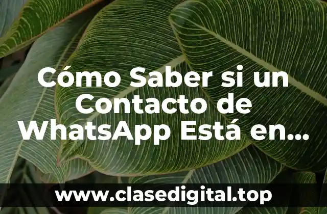 Cómo Saber si un Contacto de WhatsApp Está en Línea