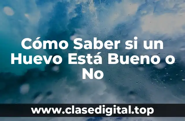 Cómo Saber si un Huevo Está Bueno o No