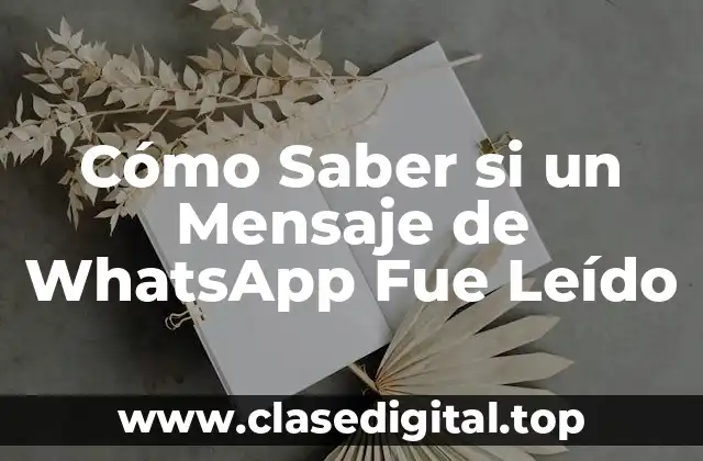 Cómo Saber si un Mensaje de WhatsApp Fue Leído