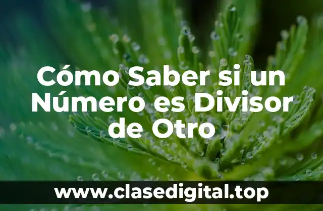 Cómo Saber si un Número es Divisor de Otro