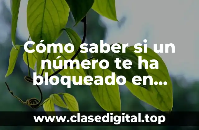 Cómo saber si un número te ha bloqueado en WhatsApp y cómo proceder