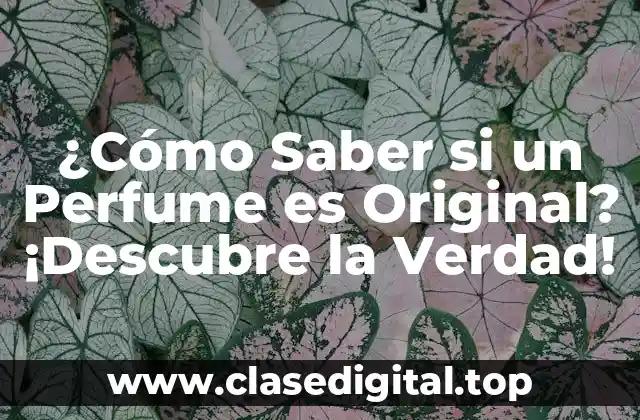 ¿Cómo Saber si un Perfume es Original? ¡Descubre la Verdad!