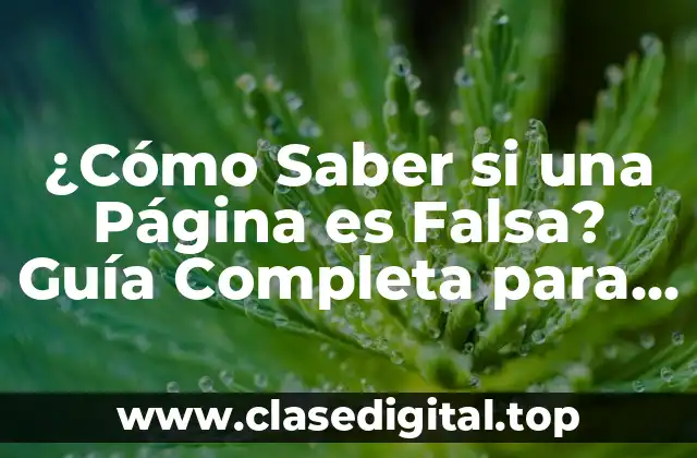 ¿Cómo Saber si una Página es Falsa? Guía Completa para Detectar Páginas Web Falsas
