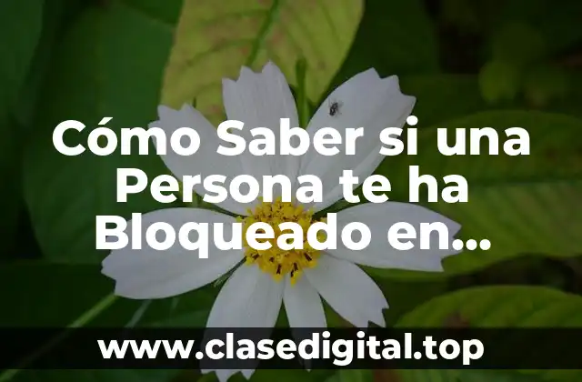 Cómo Saber si una Persona te ha Bloqueado en WhatsApp