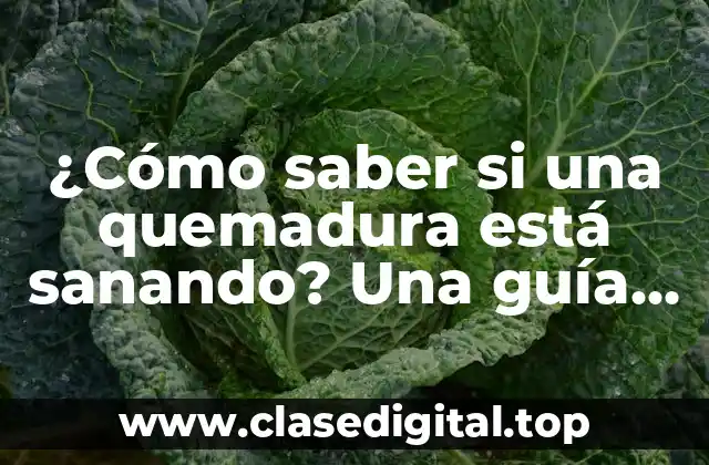 ¿Cómo saber si una quemadura está sanando? Una guía completa sobre el proceso de curación