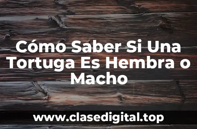 Cómo Saber Si Una Tortuga Es Hembra o Macho