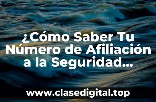 ¿Cómo Saber Tu Número de Afiliación a la Seguridad Social?
