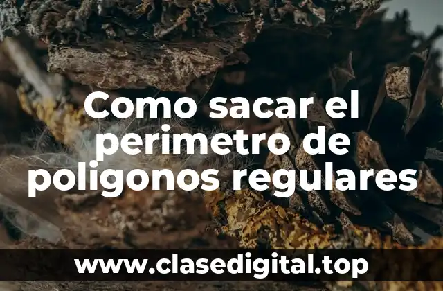 Como sacar el perimetro de poligonos regulares