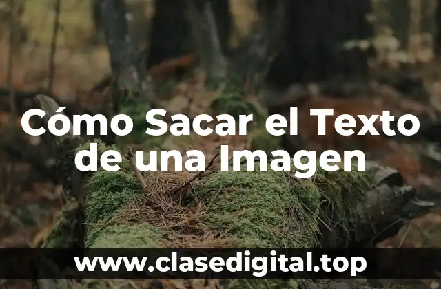 Cómo Sacar el Texto de una Imagen