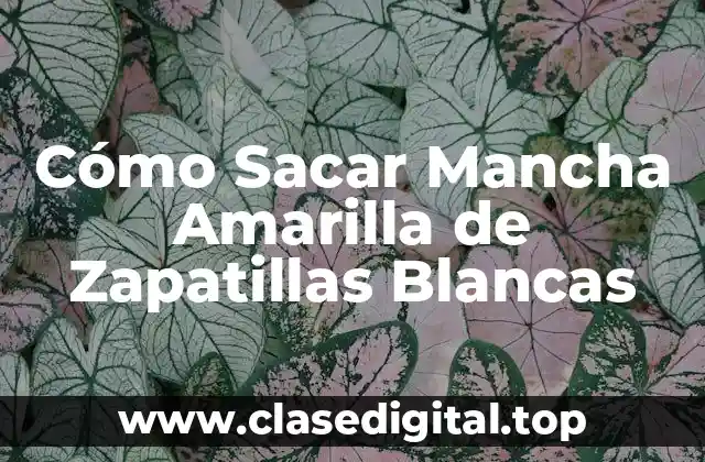 Cómo Sacar Mancha Amarilla de Zapatillas Blancas
