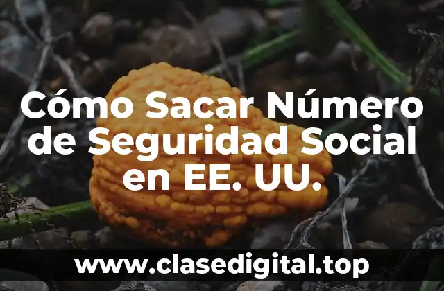 Cómo Sacar Número de Seguridad Social en EE. UU.