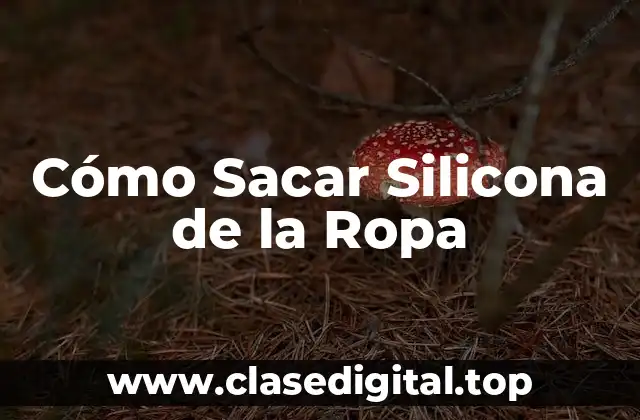 ¿Por qué la Silicona se Adhiere a la Ropa?