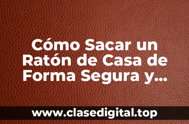 Cómo Sacar un Ratón de Casa de Forma Segura y Eficaz