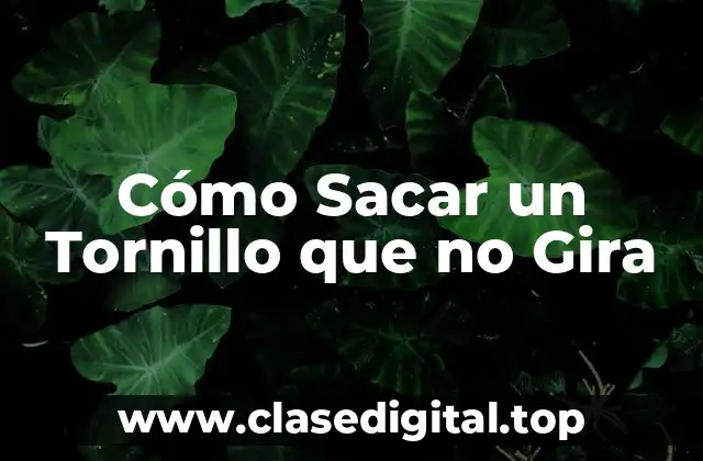 Causas Comunes de un Tornillo que no Gira