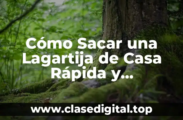 Cómo Sacar una Lagartija de Casa Rápida y Seguramente