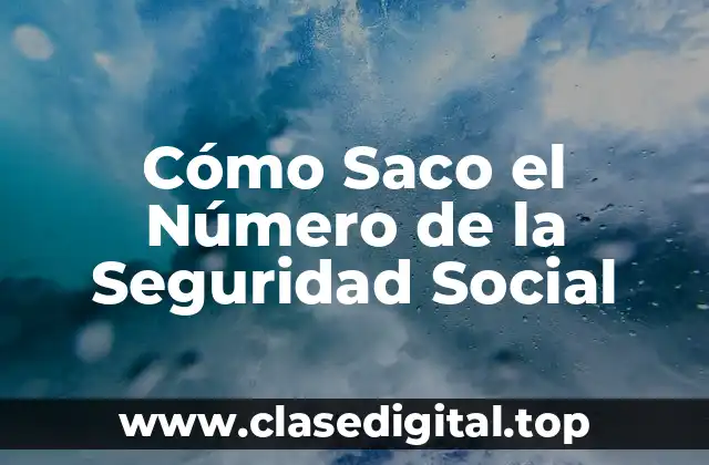 ¿Qué es el Número de Seguridad Social y por qué es Importante?