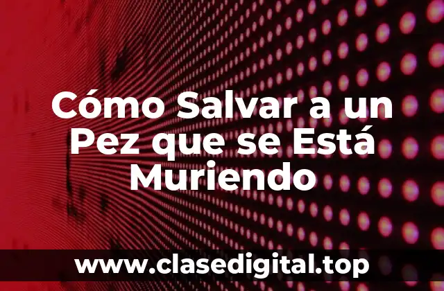 Cómo Salvar a un Pez que se Está Muriendo