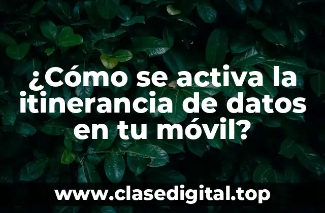 ¿Cómo se activa la itinerancia de datos en tu móvil?