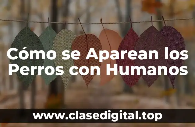 La Selección de la Pareja Ideal para el Apareamiento de Perros