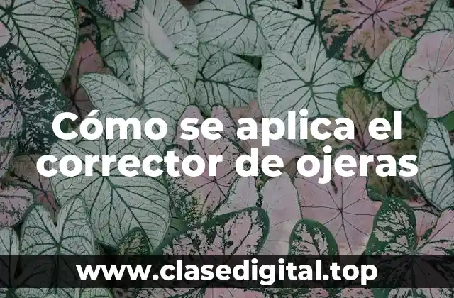 Cómo se aplica el corrector de ojeras