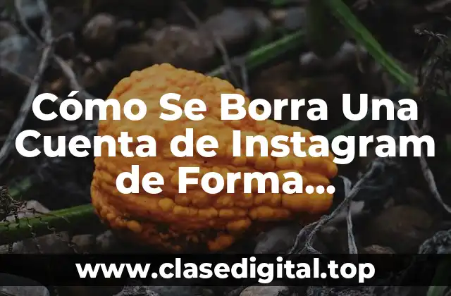 Cómo Se Borra Una Cuenta de Instagram de Forma Permanente