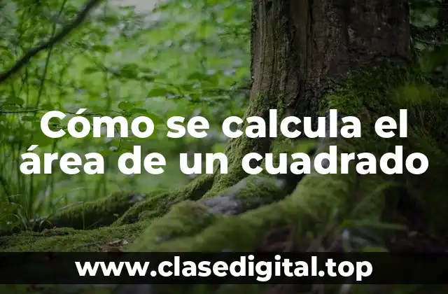 Cómo se calcula el área de un cuadrado