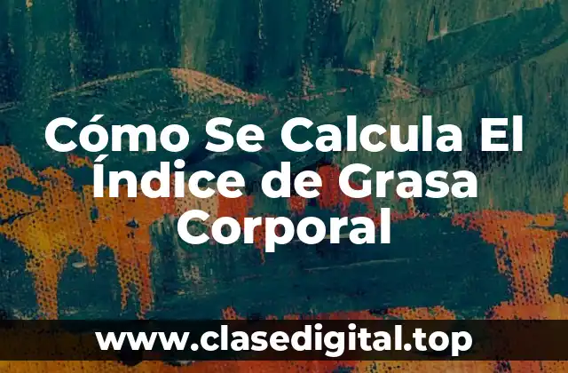Cómo Se Calcula El Índice de Grasa Corporal