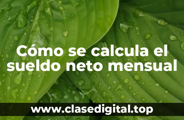 ¿Qué es el sueldo bruto y cómo se calcula?