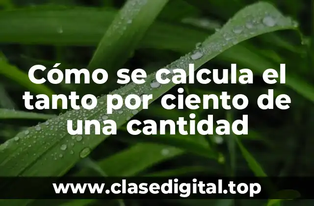Cómo se calcula el tanto por ciento de una cantidad