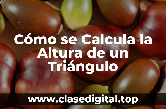 Cómo se Calcula la Altura de un Triángulo