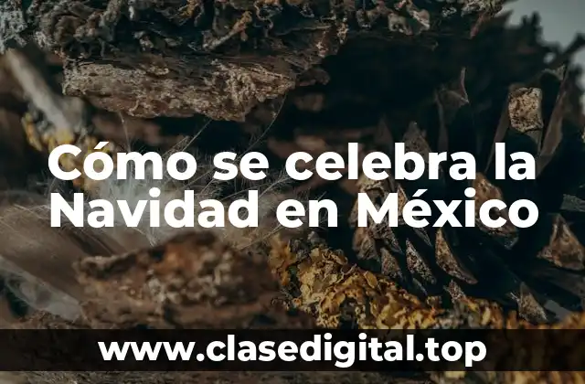 Cómo se celebra la Navidad en México