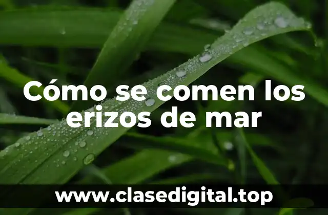 Cómo se comen los erizos de mar