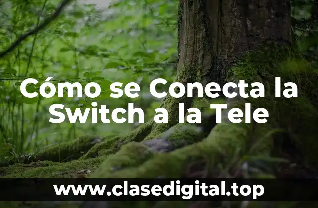 Cómo se Conecta la Switch a la Tele