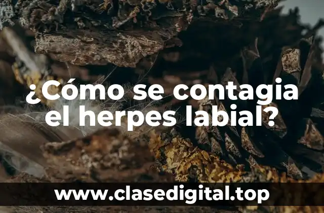 ¿Cómo se contagia el herpes labial?