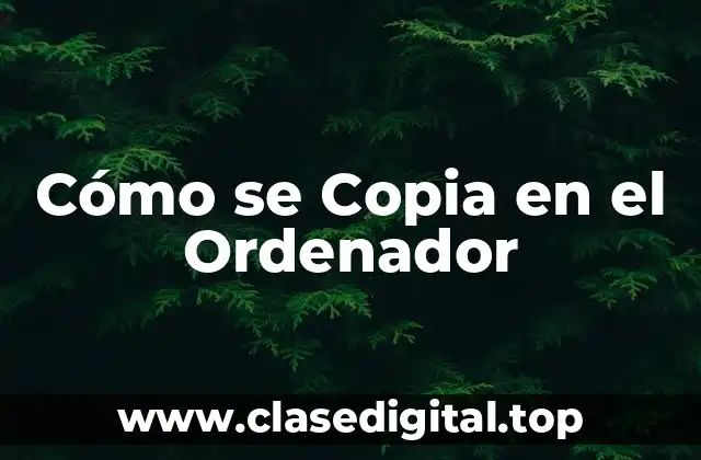 Cómo se Copia en el Ordenador